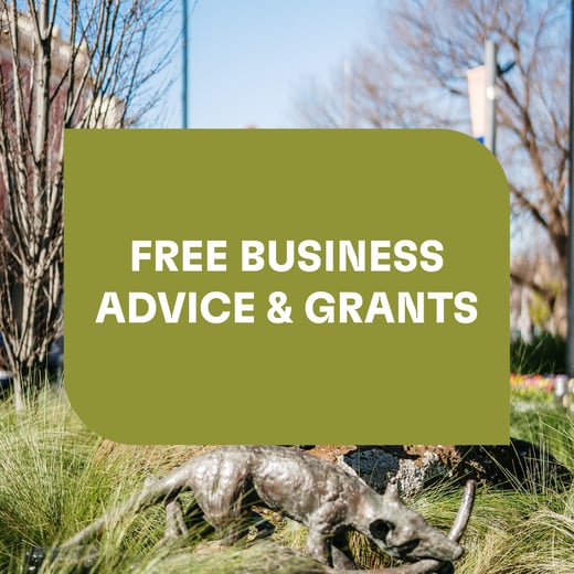 Free Business Advice and Grants Link