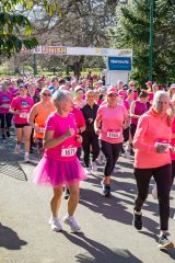 Untitled design (2)-2